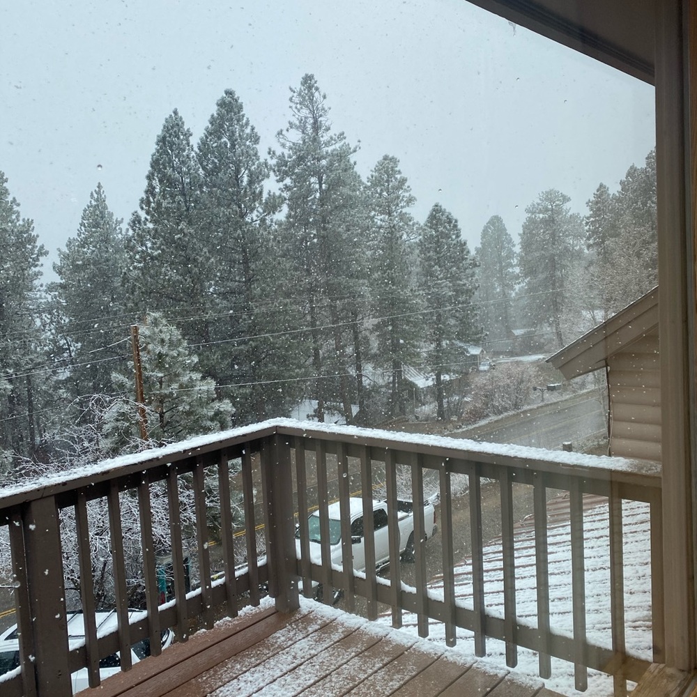 Meet your Posher, Yasmin